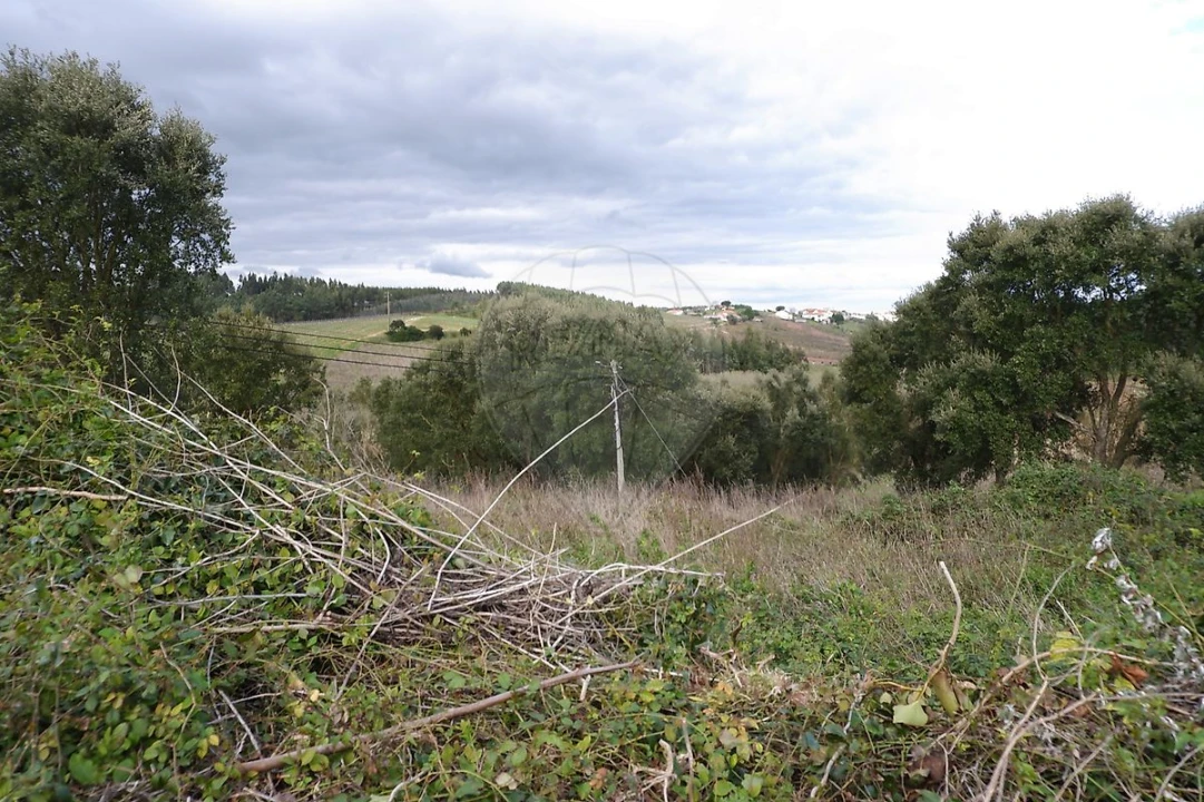 Terreno para Venda em Vilar Foto 11