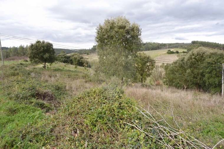 Terreno para Venda em Vilar Foto 10