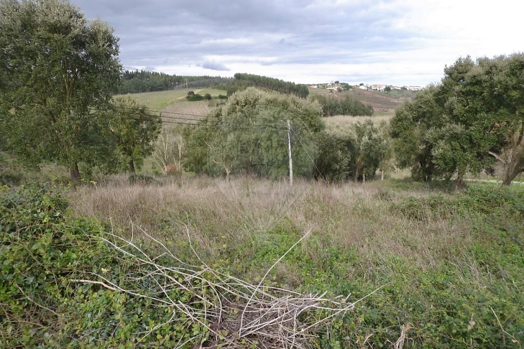 Terreno para Venda em Vilar Foto 6