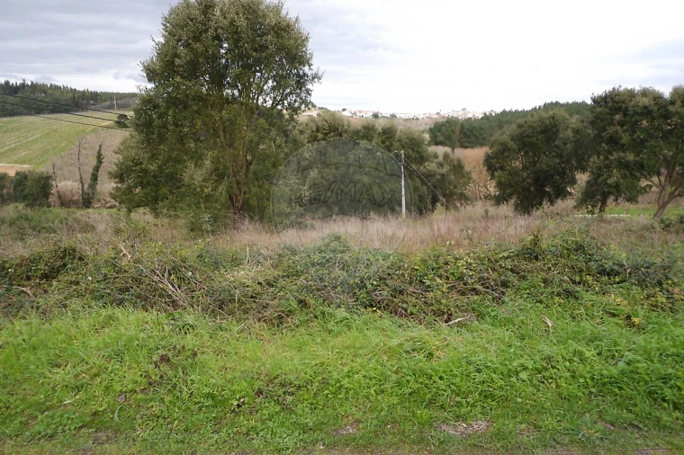Terreno para Venda em Vilar Foto 8