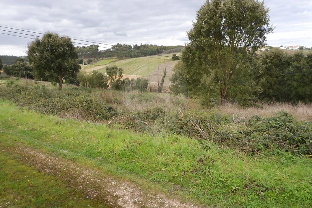Terreno para Venda em Vilar Foto 4