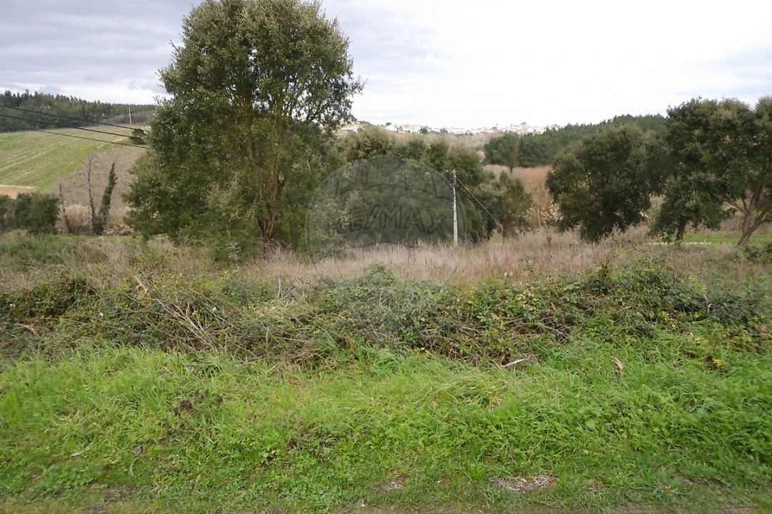 Terreno para Venda em Vilar Foto 8