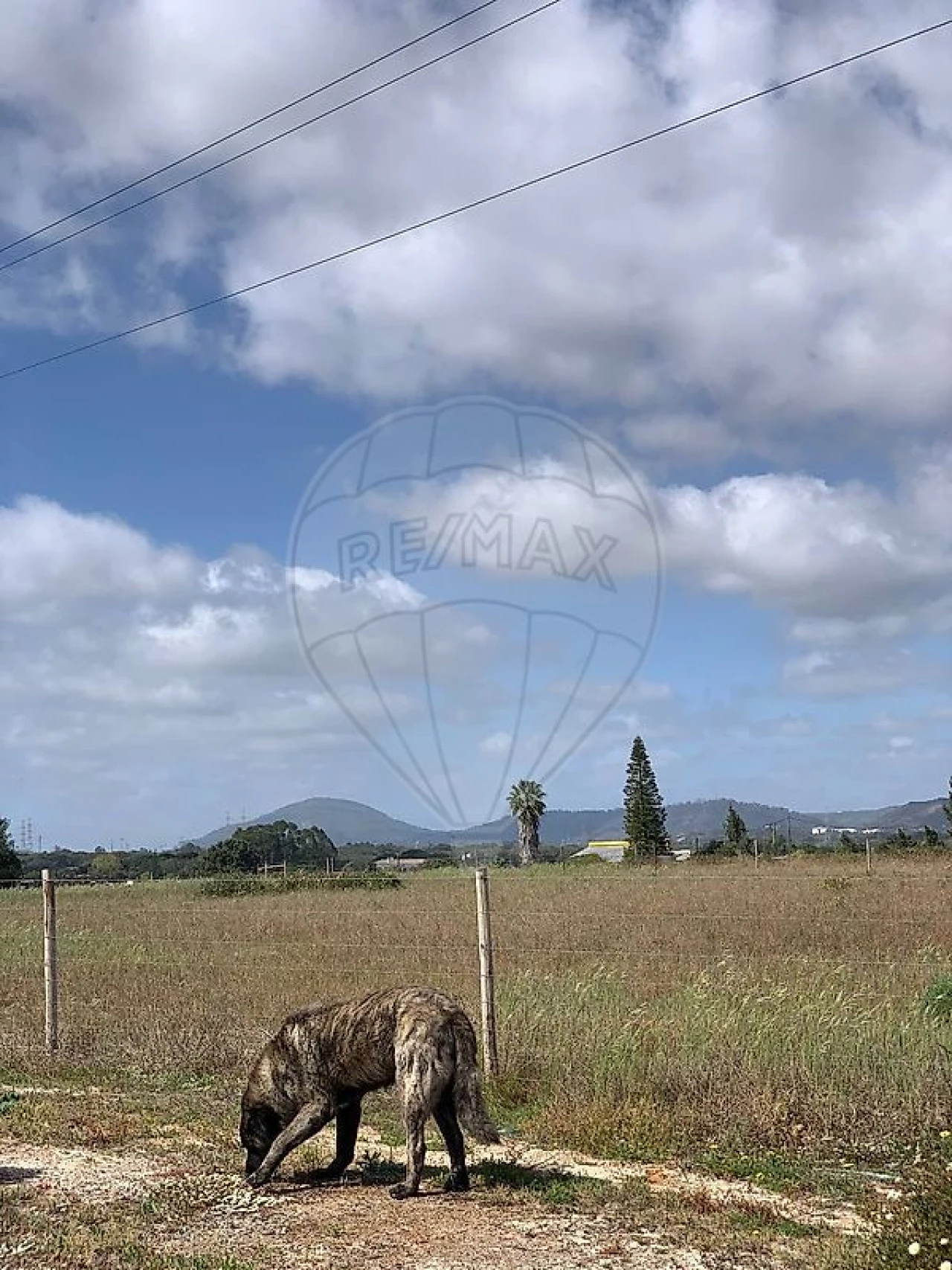Terreno para Venda em Palmela Foto 1