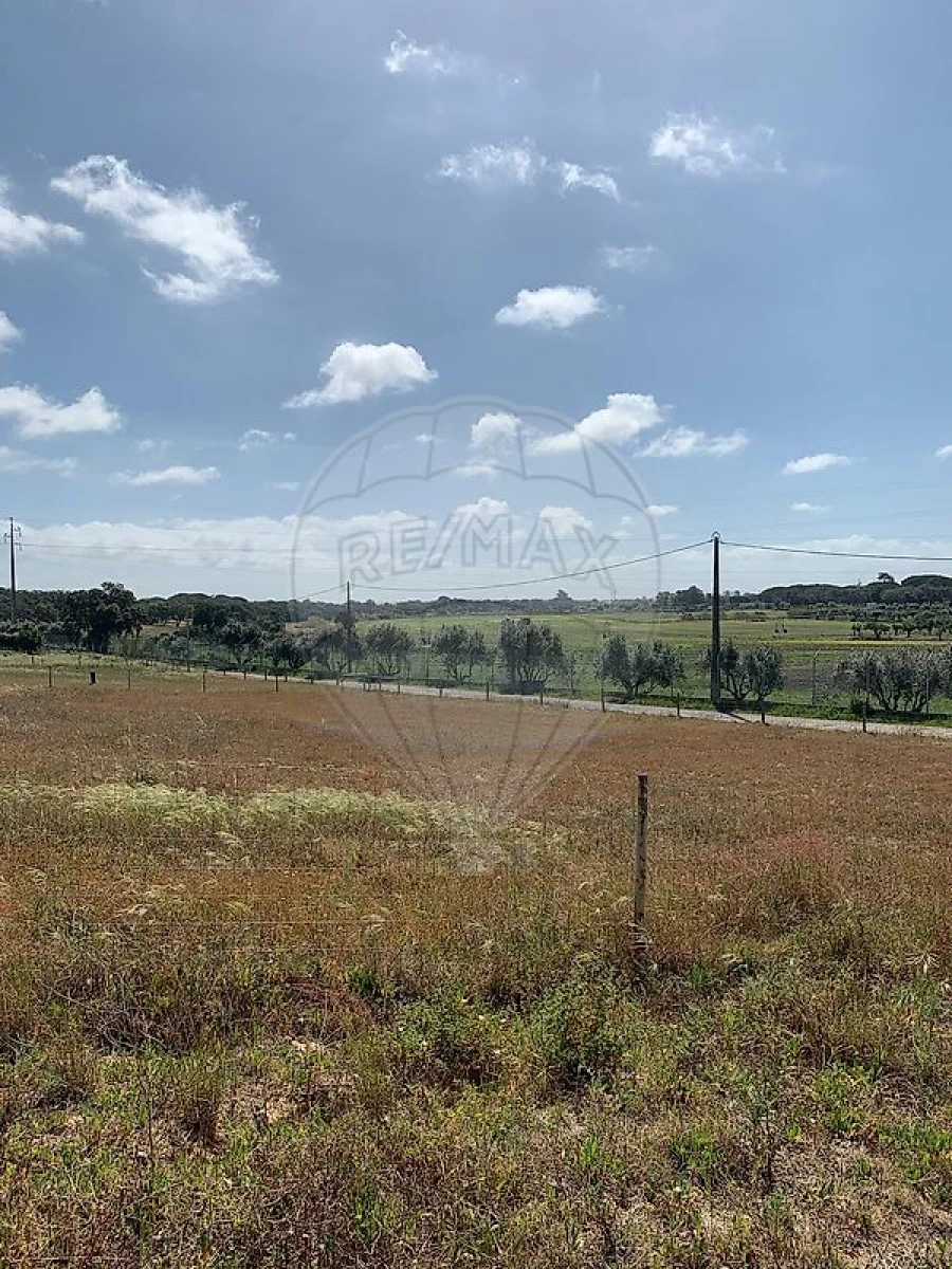 Terreno para Venda em Palmela Foto 6