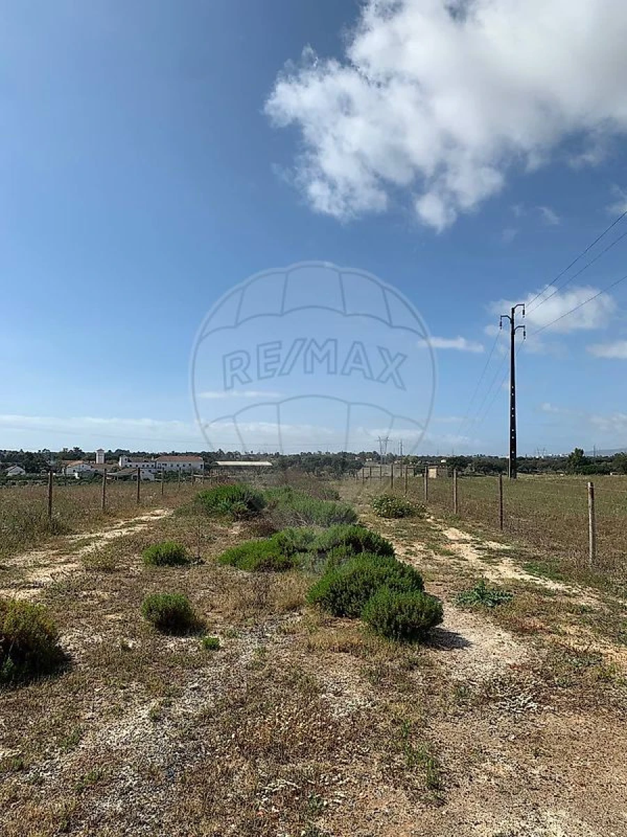 Terreno para Venda em Palmela Foto 3