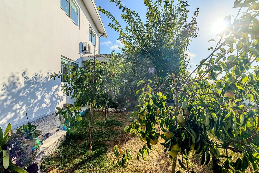 Moradia T3 para Venda em Escapães Foto 34