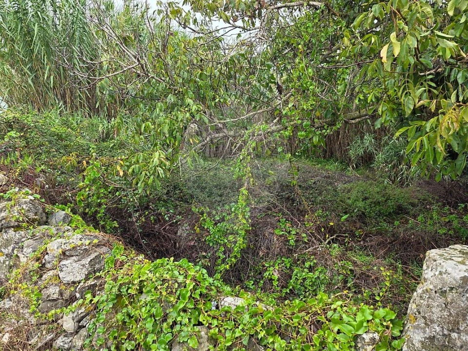 Terreno para Venda em Almargem do Bispo, Pêro Pinheiro e Montelavar Foto 4