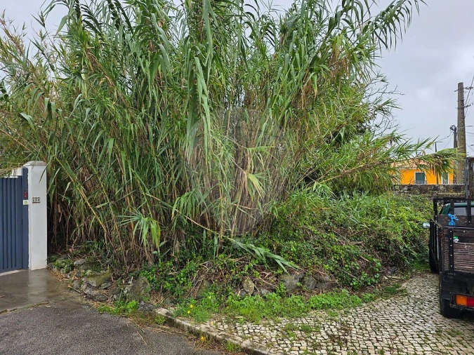 Terreno para Venda em Almargem do Bispo, Pêro Pinheiro e Montelavar Foto 5