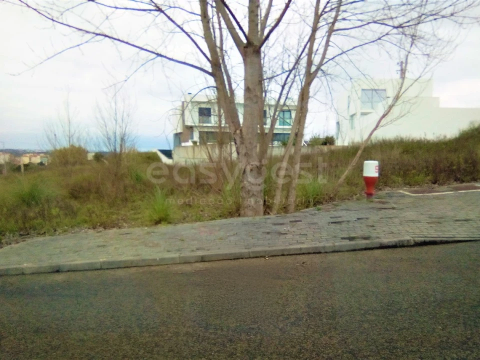 Terreno para Venda em Torres Novas (Santa Maria, Salvador e Santiago) Foto 1