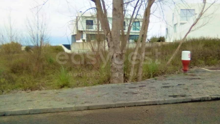 Terreno para Venda em Torres Novas (Santa Maria, Salvador e Santiago)