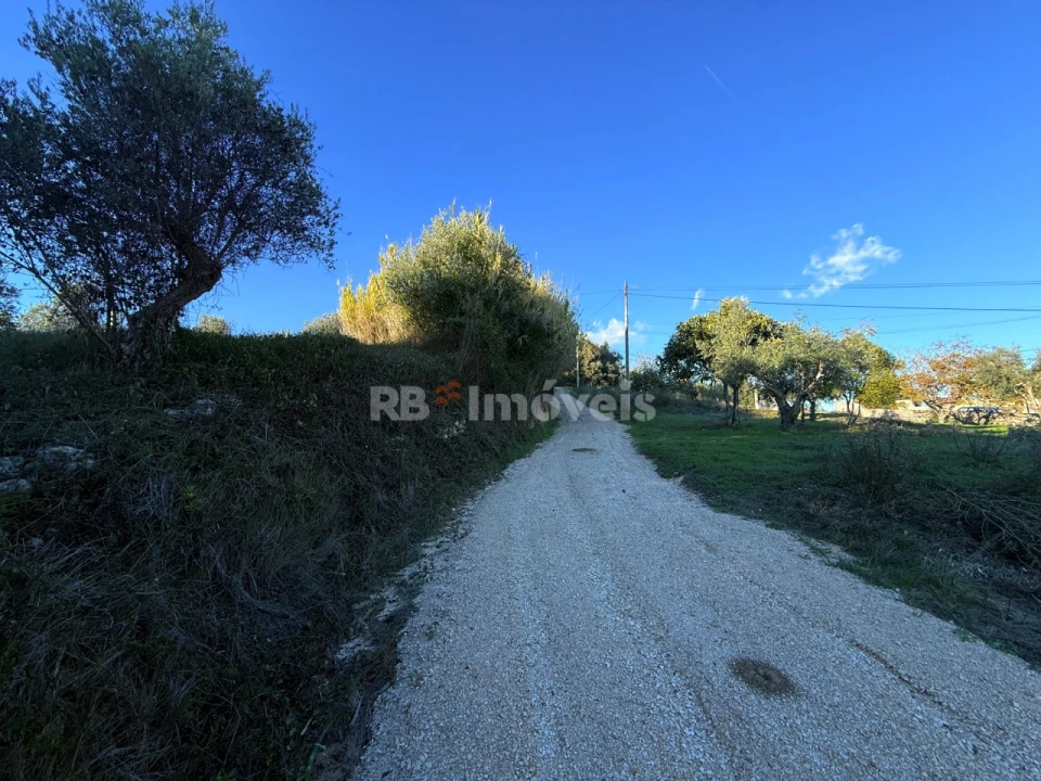 Terreno para Venda em Carregueiros Foto 6