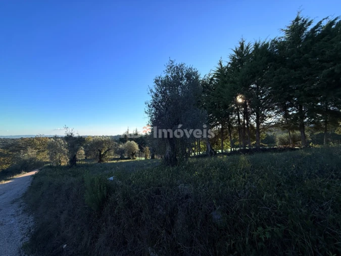 Terreno para Venda em Carregueiros Foto 3