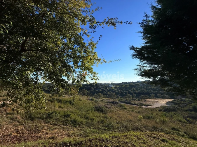 Terreno para Venda em Carregueiros Foto 1