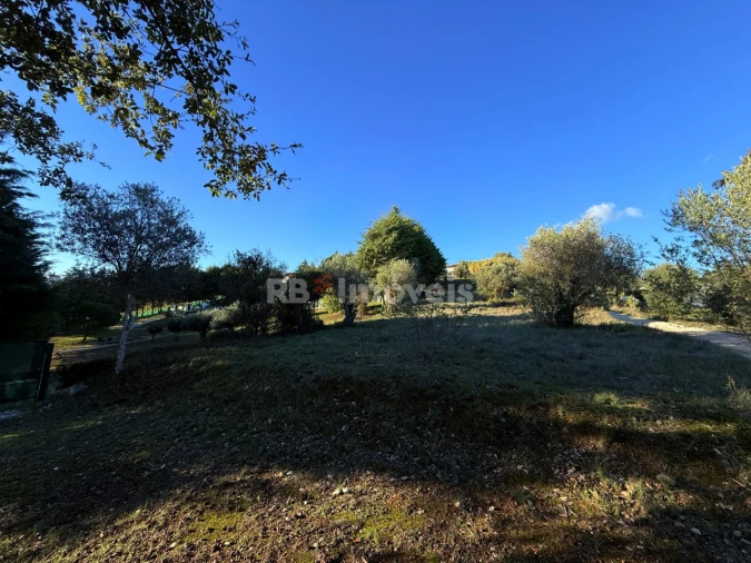 Terreno para Venda em Carregueiros Foto 5