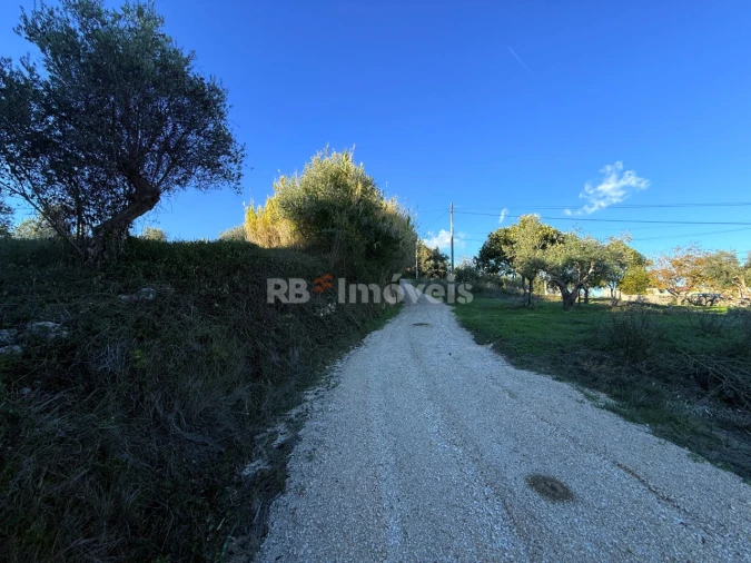 Terreno para Venda em Carregueiros Foto 6