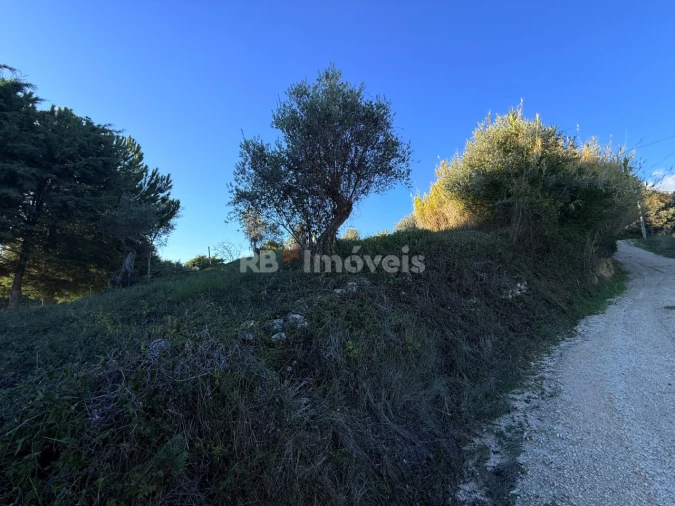 Terreno para Venda em Carregueiros Foto 9