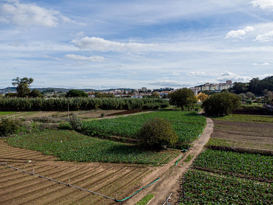 Moradia T5 para Venda em Loures Foto 16