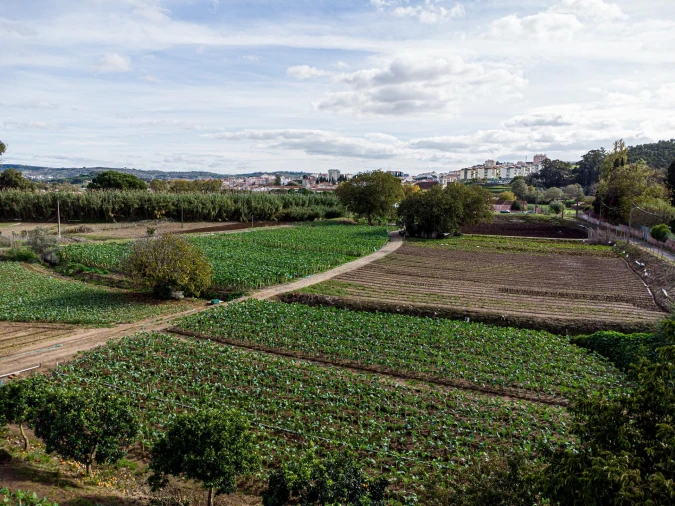 Moradia T5 para Venda em Loures Foto 11