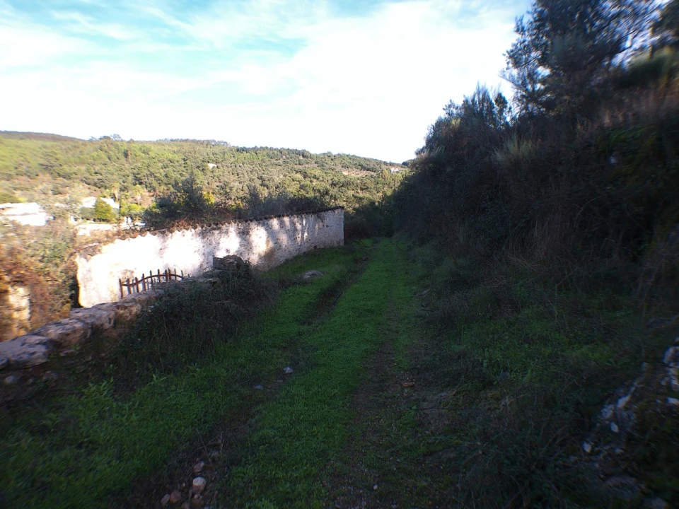 Quinta T3 para Venda em Alegrete Foto 3