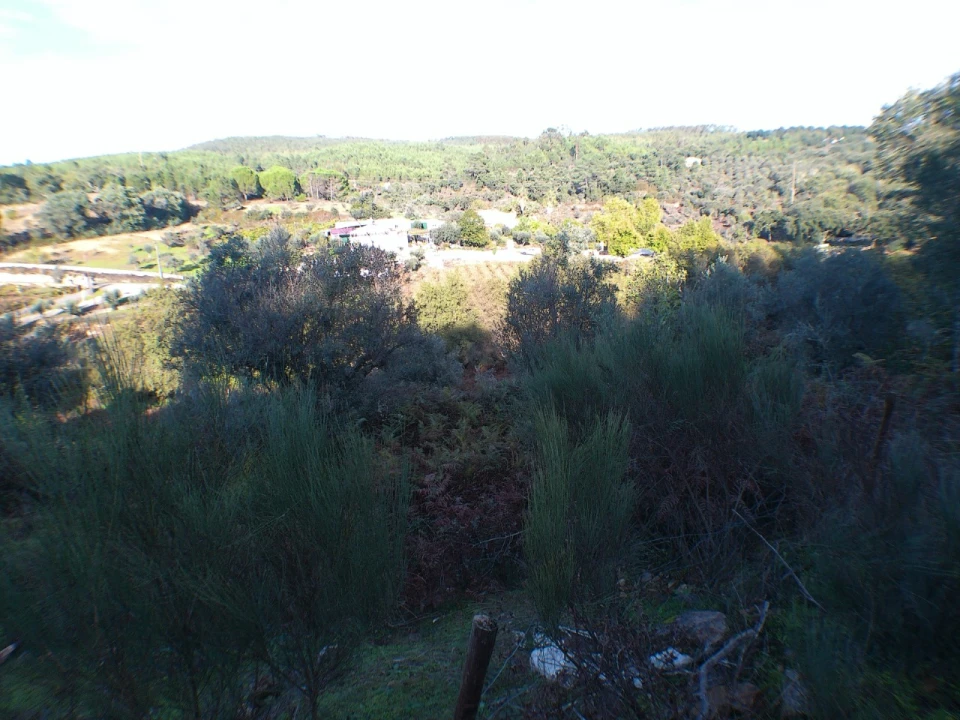 Quinta T3 para Venda em Alegrete Foto 9