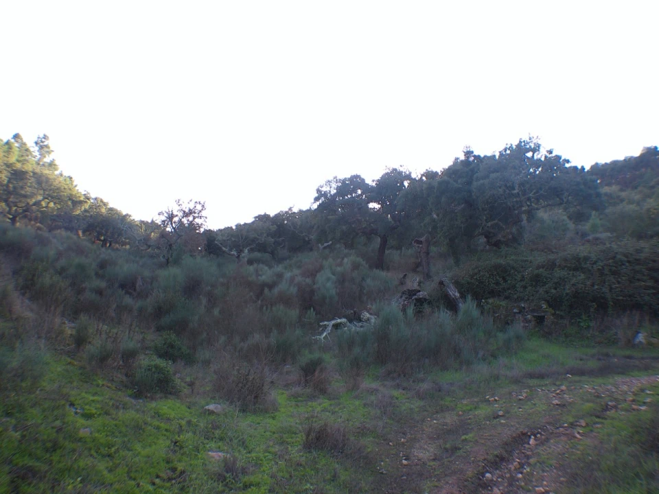 Quinta T3 para Venda em Alegrete Foto 10