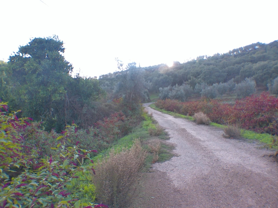 Quinta T3 para Venda em Alegrete Foto 17