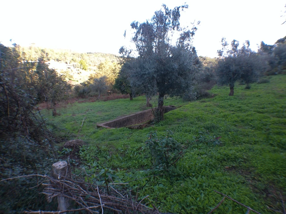 Quinta T3 para Venda em Alegrete Foto 19