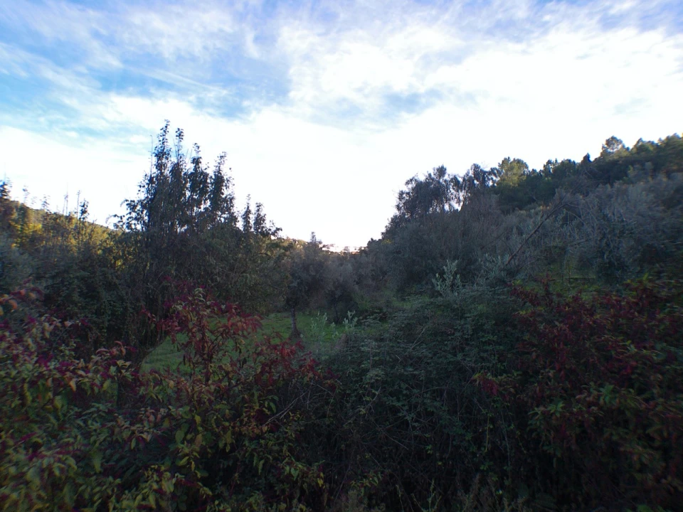 Quinta T3 para Venda em Alegrete Foto 21