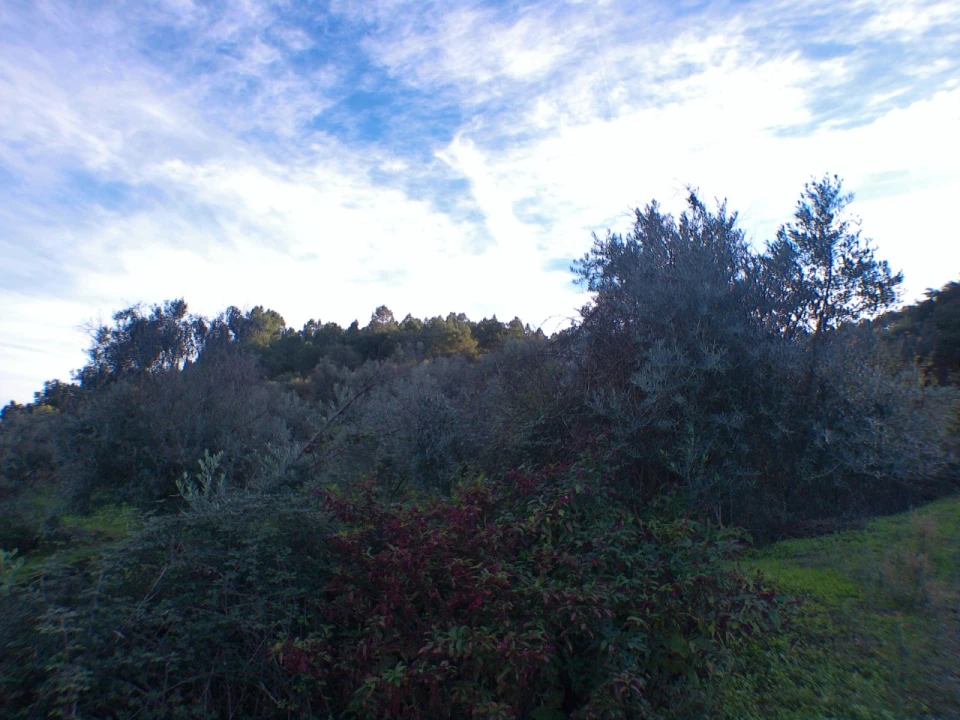 Quinta T3 para Venda em Alegrete Foto 22