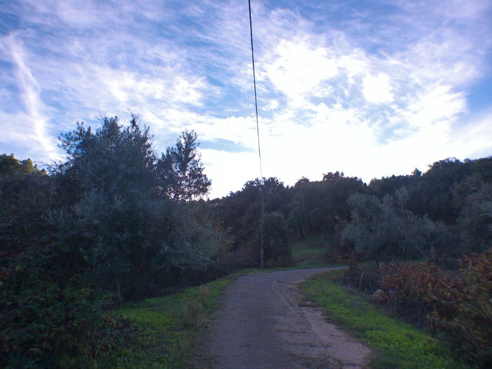 Quinta T3 para Venda em Alegrete Foto 23