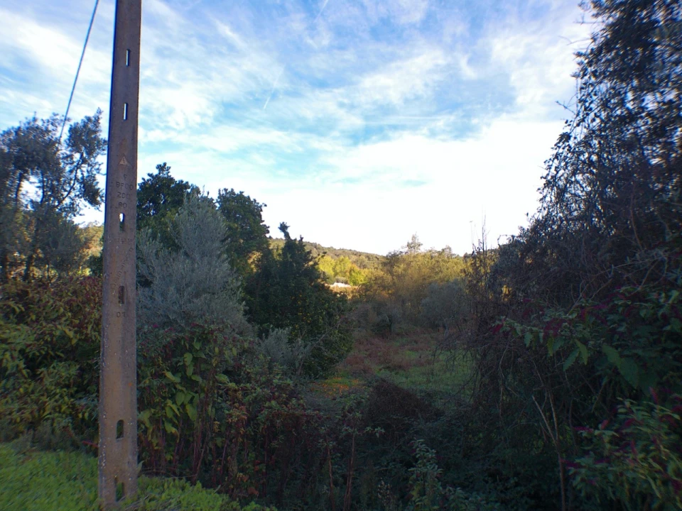 Quinta T3 para Venda em Alegrete Foto 25