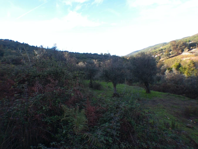 Quinta T3 para Venda em Alegrete Foto 6