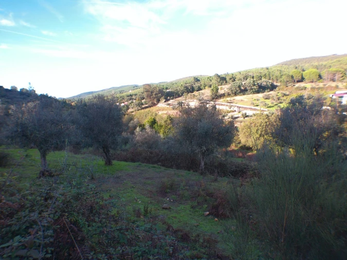 Quinta T3 para Venda em Alegrete Foto 8