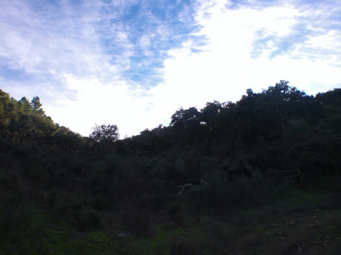 Quinta T3 para Venda em Alegrete Foto 11