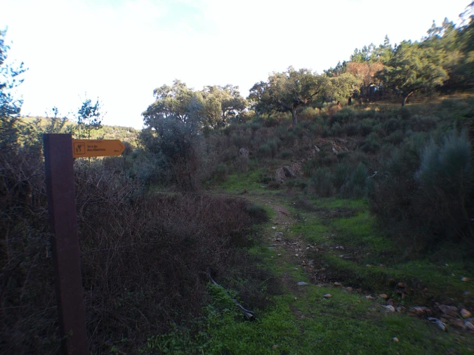 Quinta T3 para Venda em Alegrete Foto 13