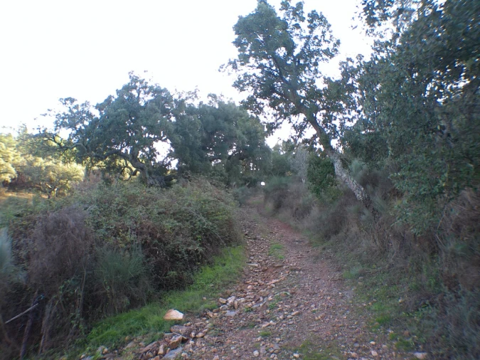 Quinta T3 para Venda em Alegrete Foto 14