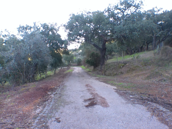 Quinta T3 para Venda em Alegrete Foto 15