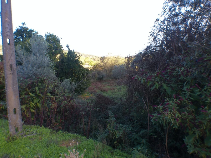 Quinta T3 para Venda em Alegrete Foto 24