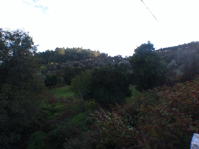 Quinta T3 para Venda em Alegrete Foto 27