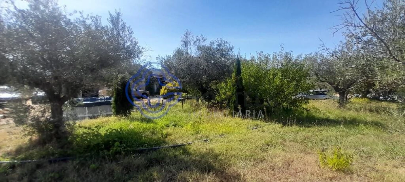 Moradia T4 para Venda em Três Povos Foto 8