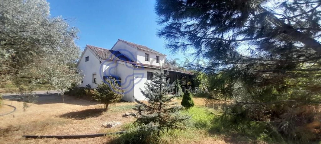 Moradia T4 para Venda em Três Povos Foto 2