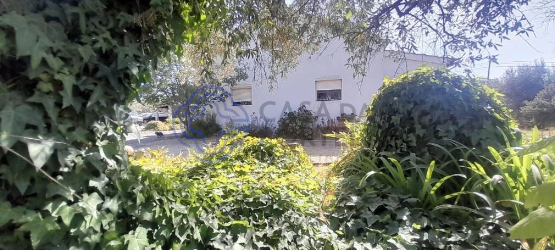 Moradia T4 para Venda em Três Povos Foto 5