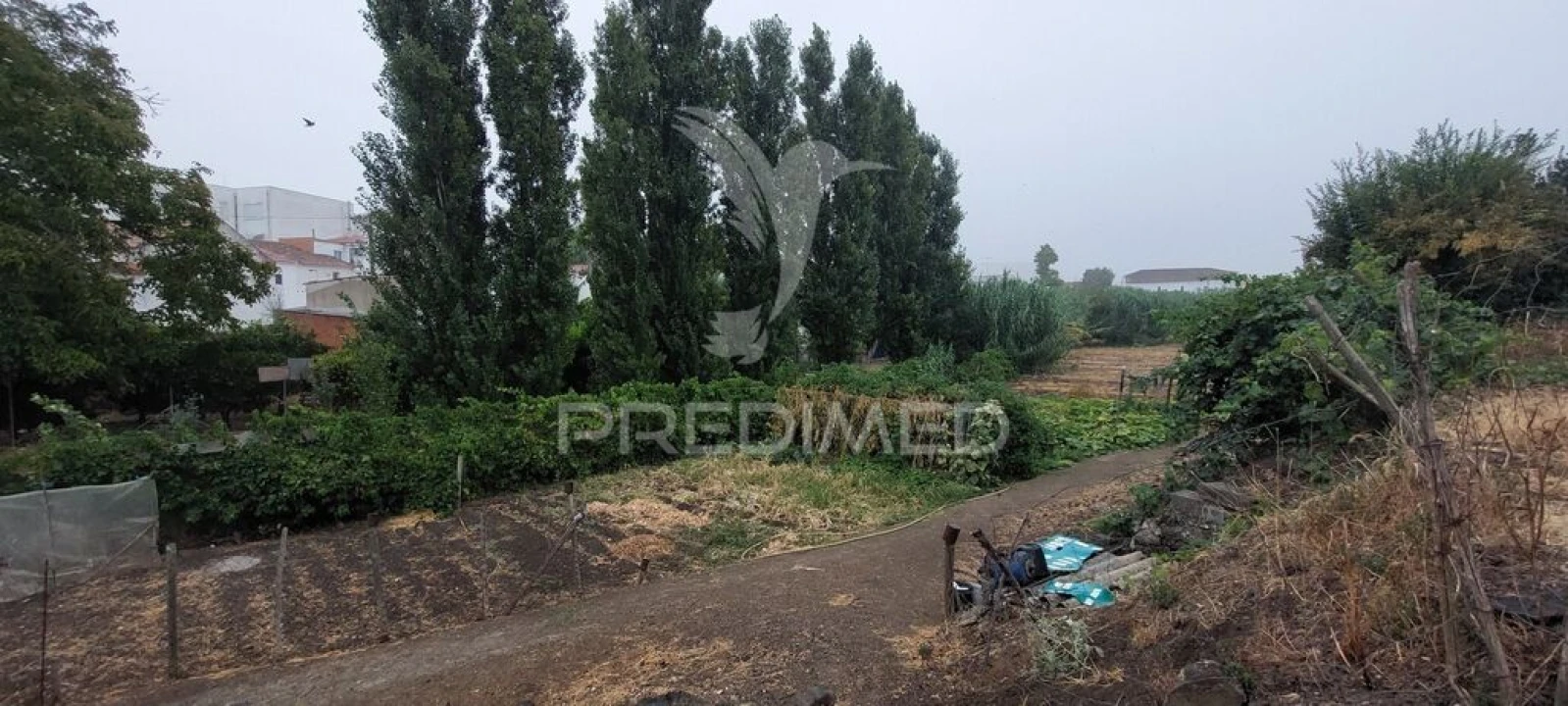 Armazém para Venda em Beringel Foto 16