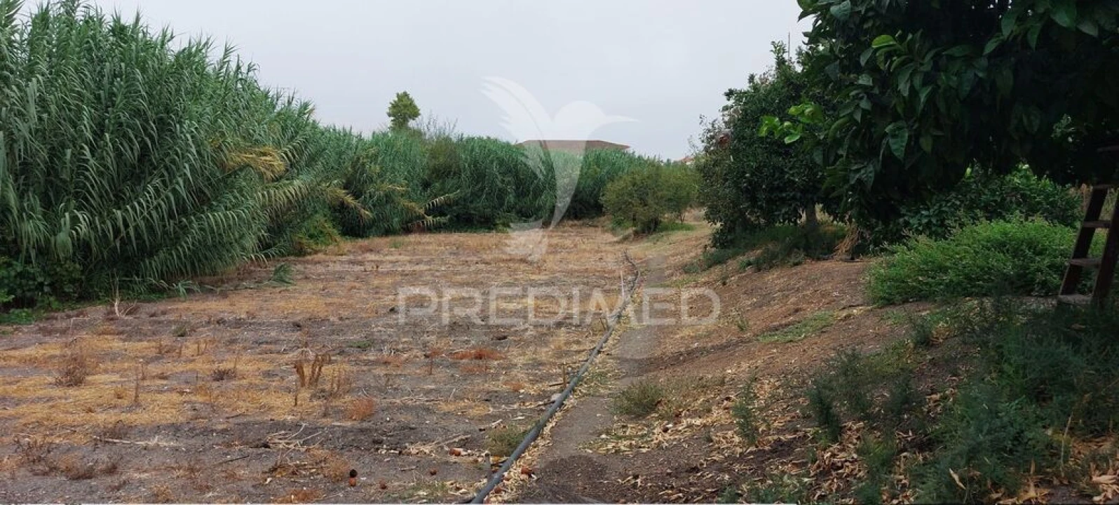 Armazém para Venda em Beringel Foto 20