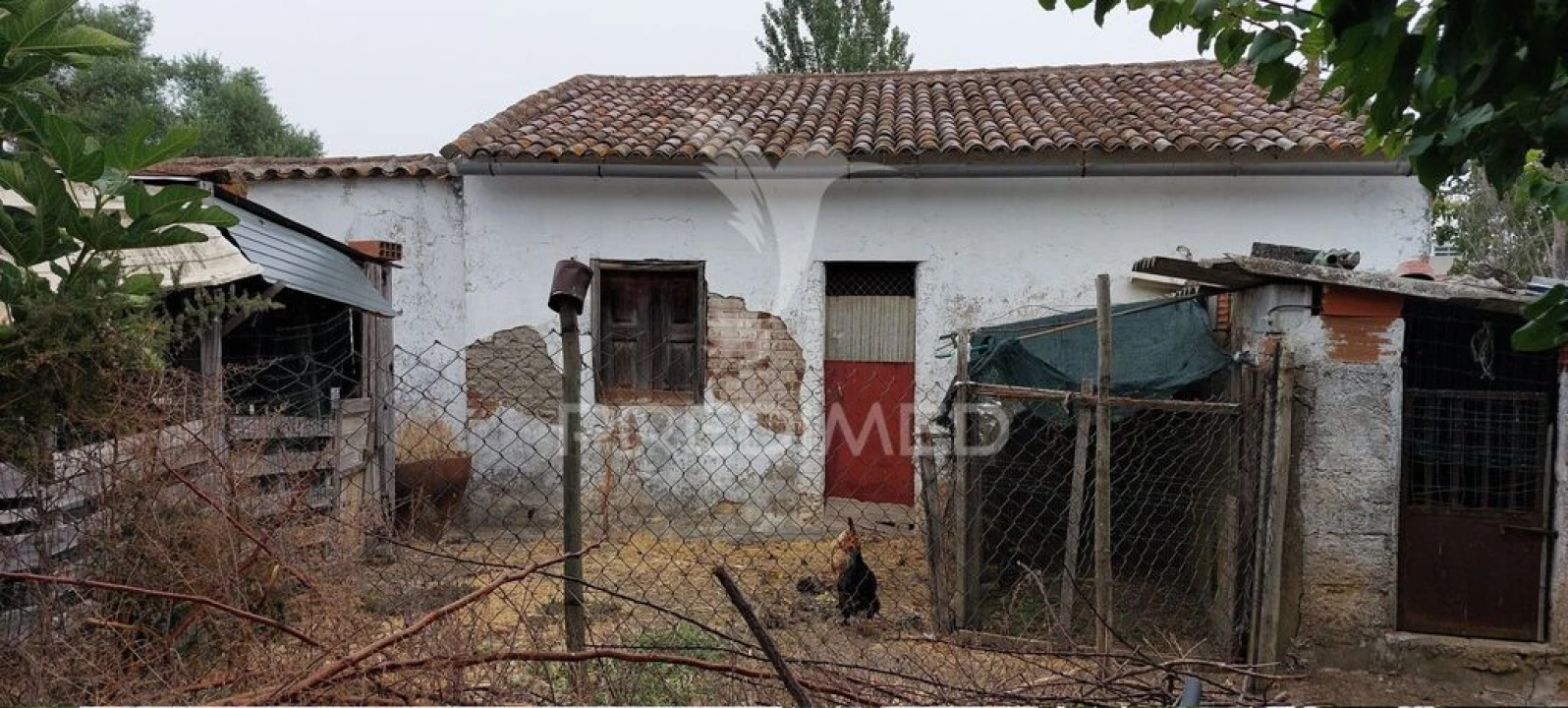 Armazém para Venda em Beringel Foto 15