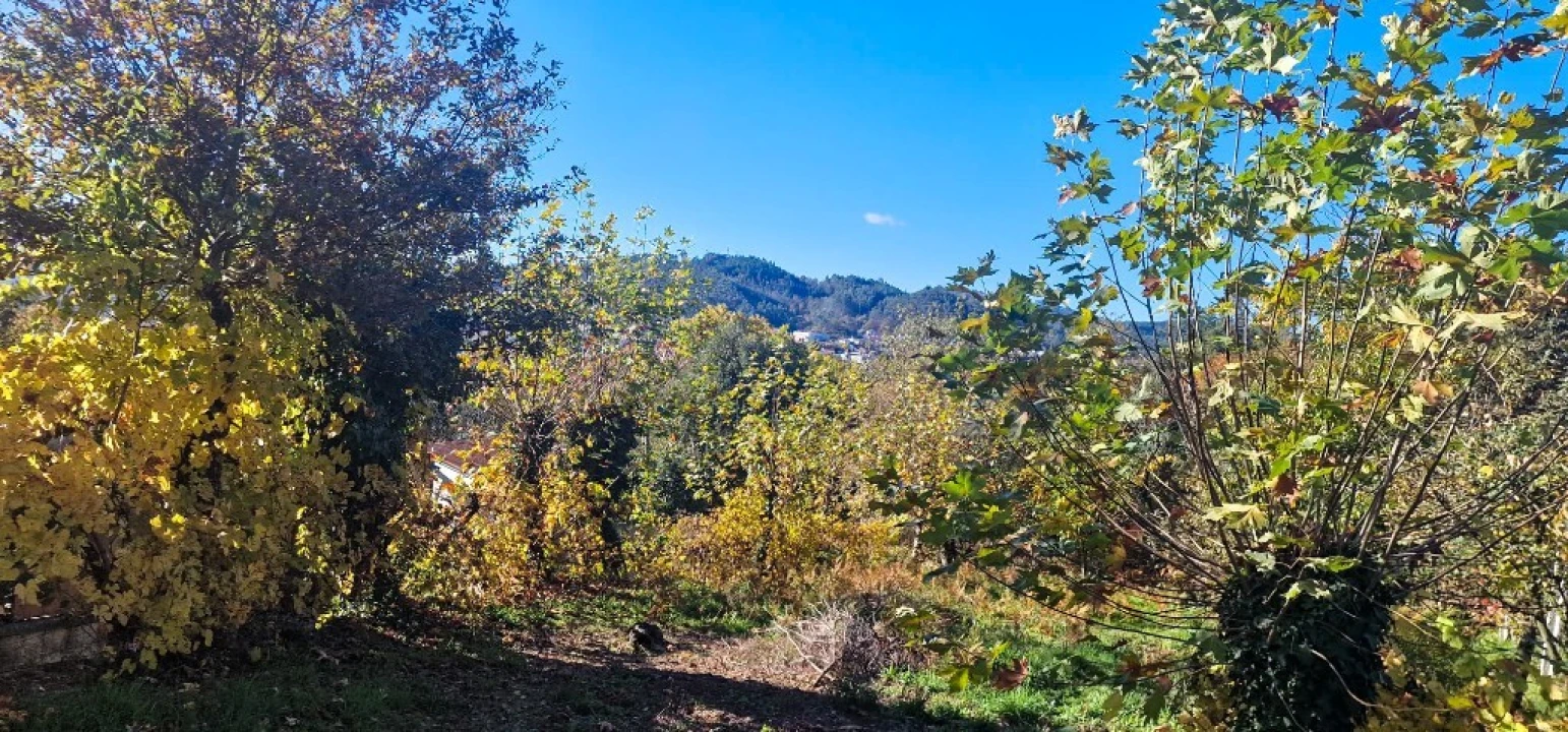 Terreno para Venda em Cantelães Foto 6