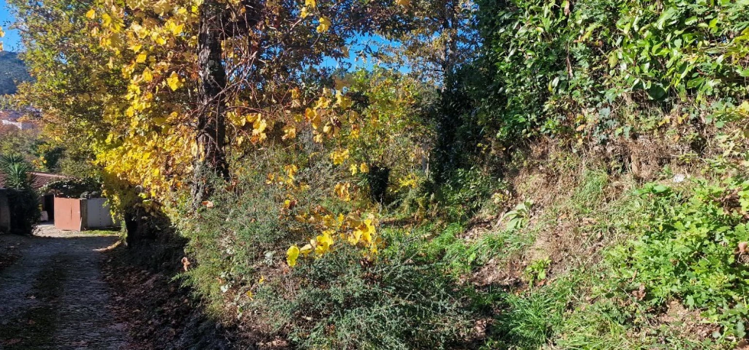 Terreno para Venda em Cantelães Foto 2