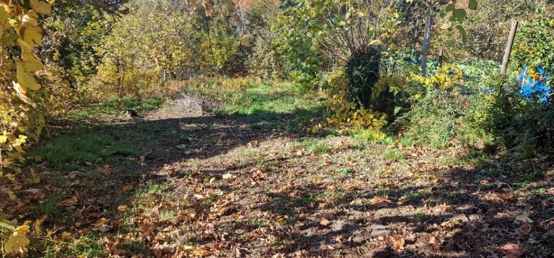 Terreno para Venda em Cantelães Foto 4