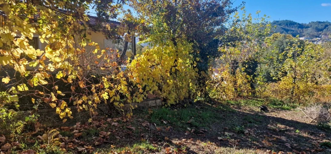 Terreno para Venda em Cantelães Foto 7