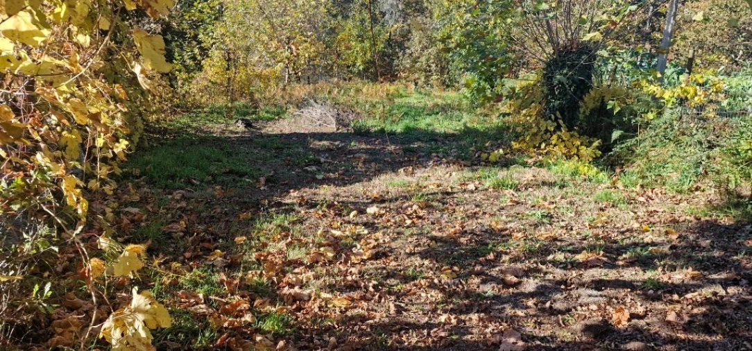 Terreno para Venda em Cantelães